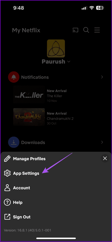 app settings netflix