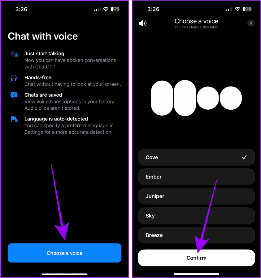 ChatGPT Voice Welcome Screen