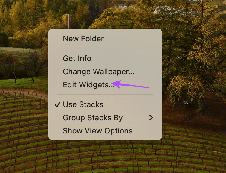 edit widgets desktop mac