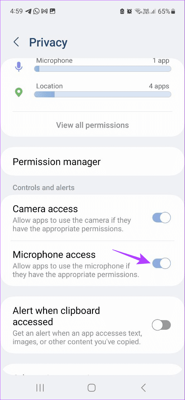 Enable mic access