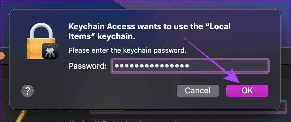 Enter your Mac Password