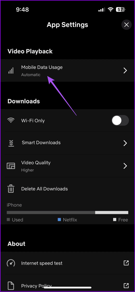 mobile data usage netflix app settings