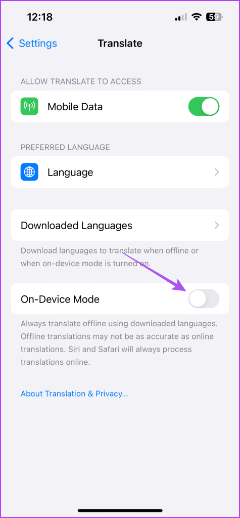 on device mode translate iphone