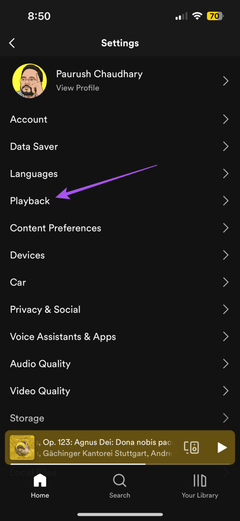 playback settings spotify app