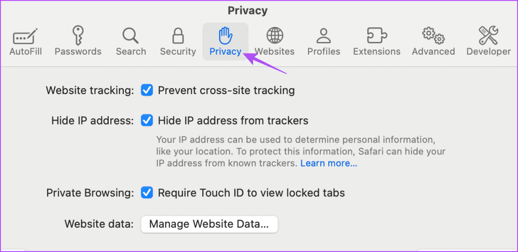 privacy settings safari mac 1