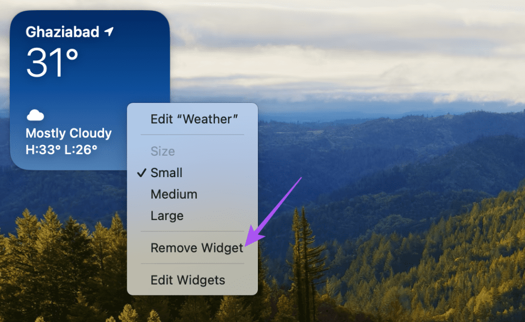 remove weather widget on mac