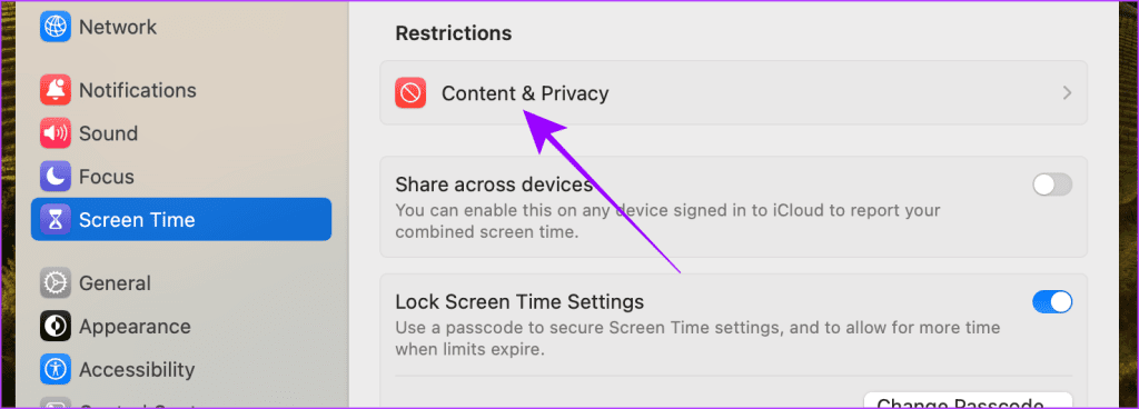 Screen Time Settings Mac