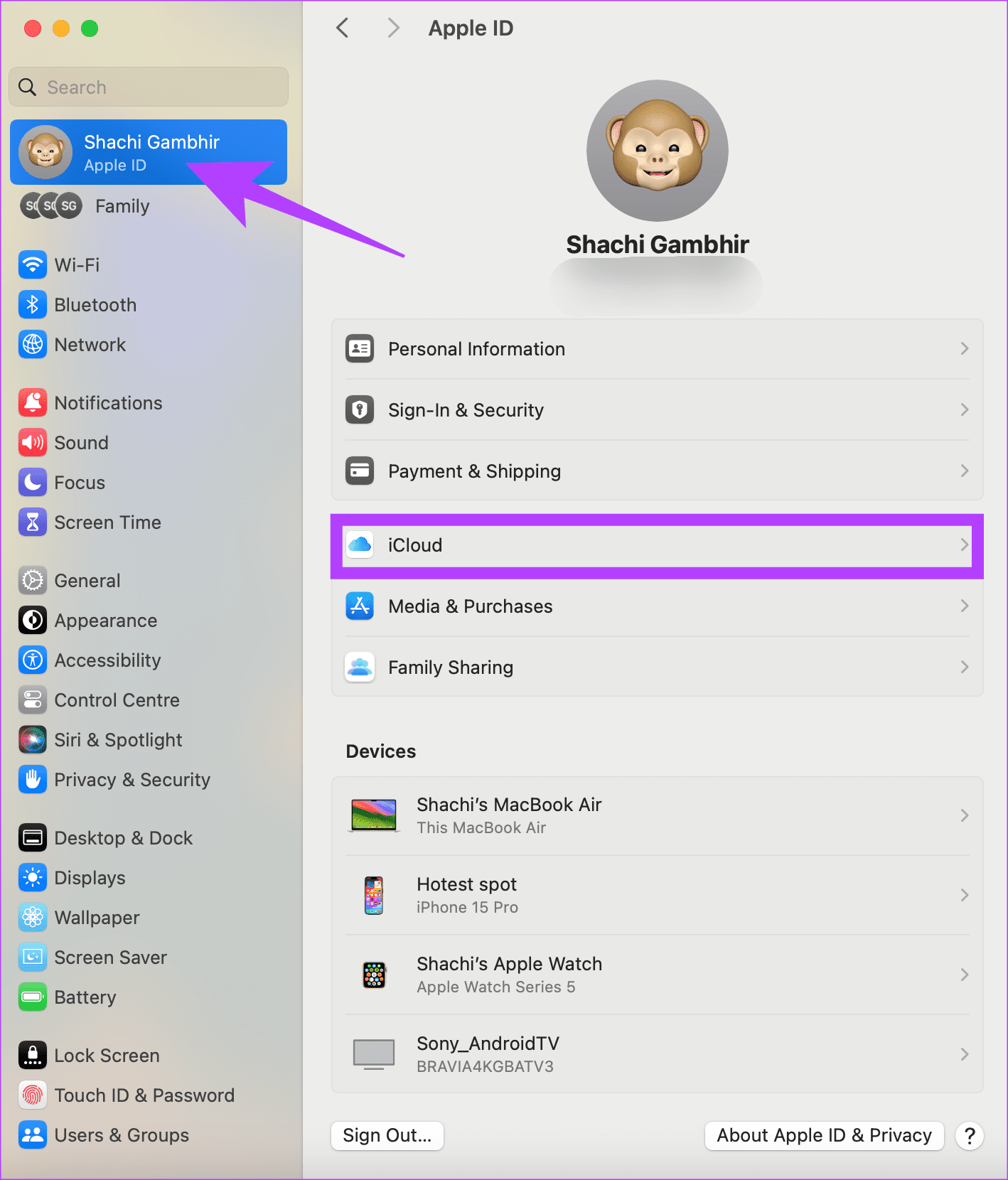 Select iCloud in Settings