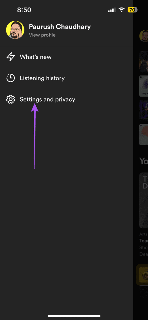 settings and privacy spotify app