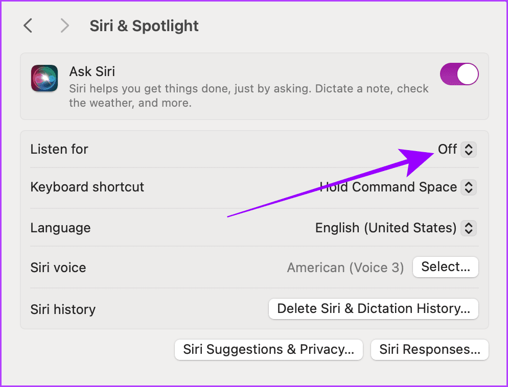 Siri Spotlight Settings Mac